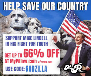 my pillow help mike lindell 300 x 250