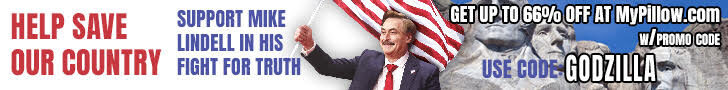 my pillow help mike lindell 728x90